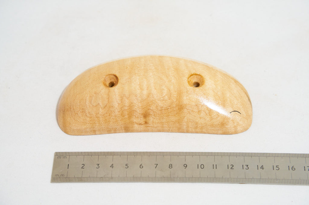 Curly Sycamore 07