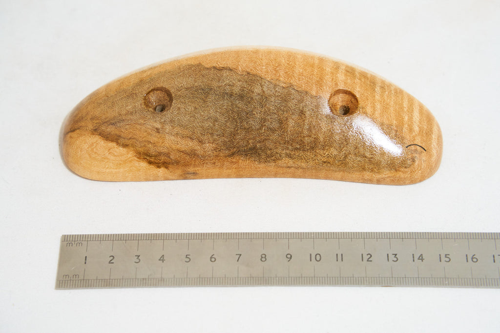 Curly Sycamore 12