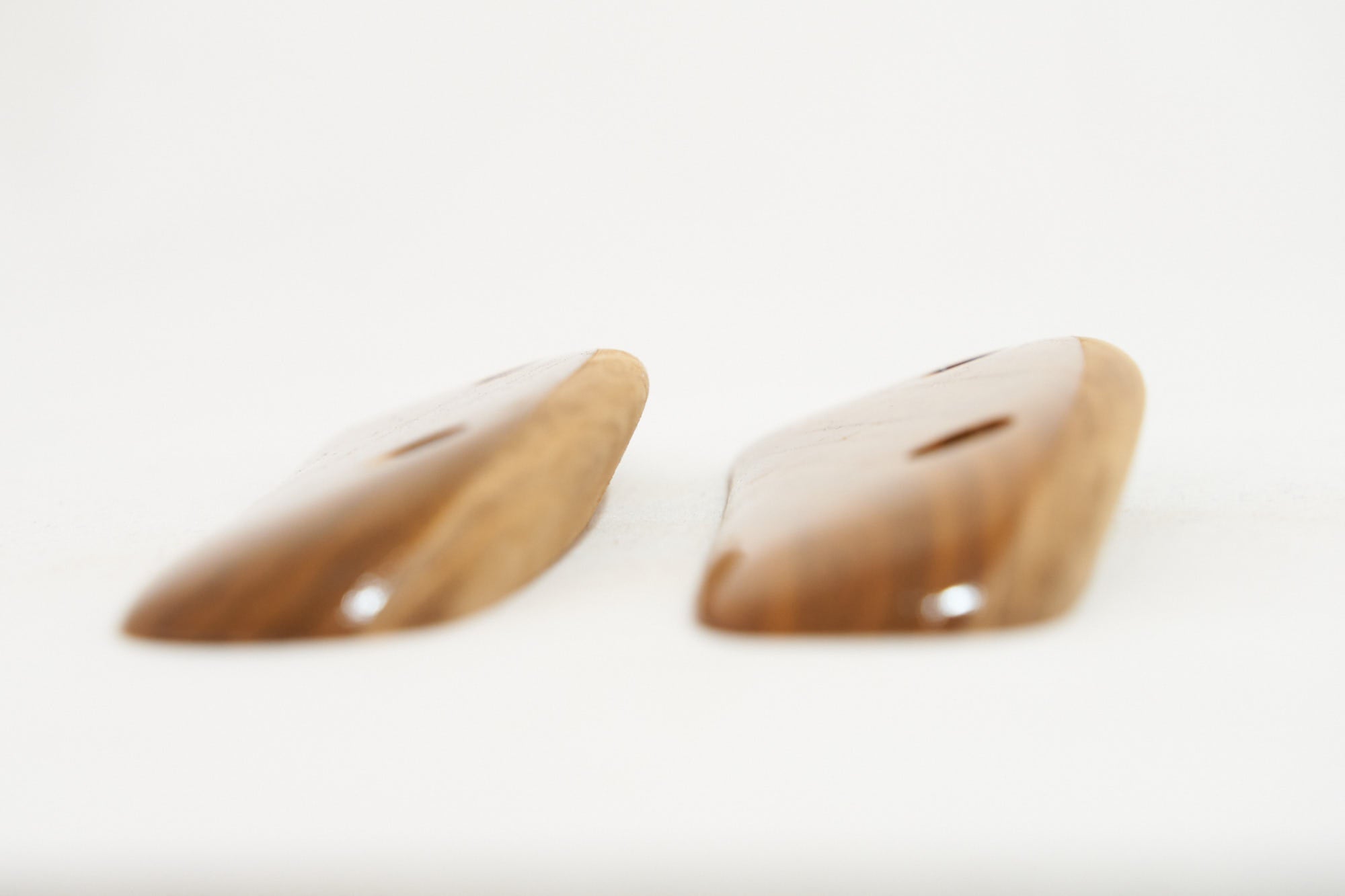 Exotic Edges 13 - Laburnum