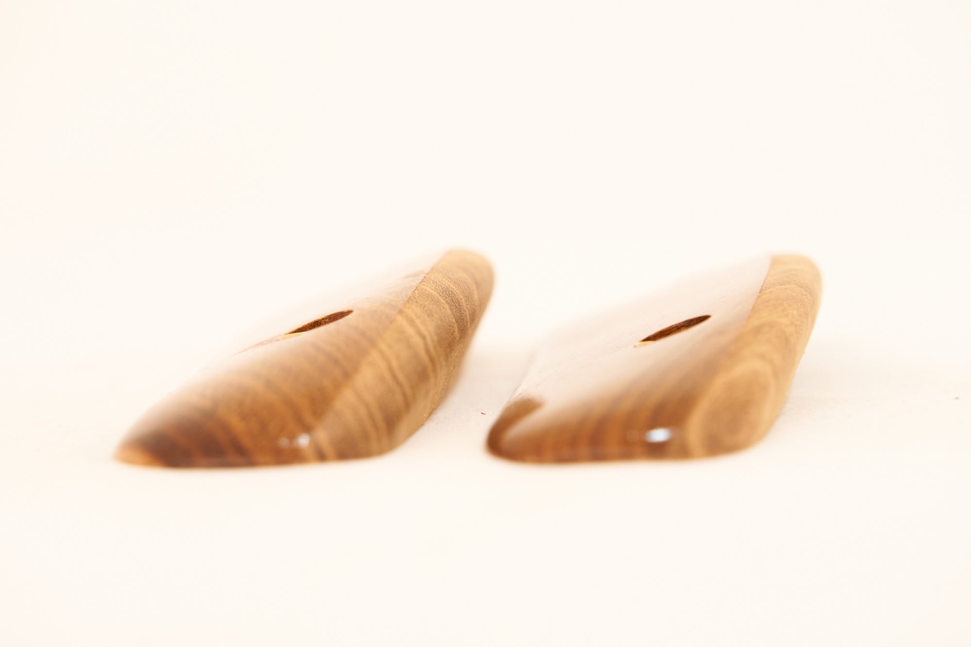 Exotic Edges 35 - Laburnum